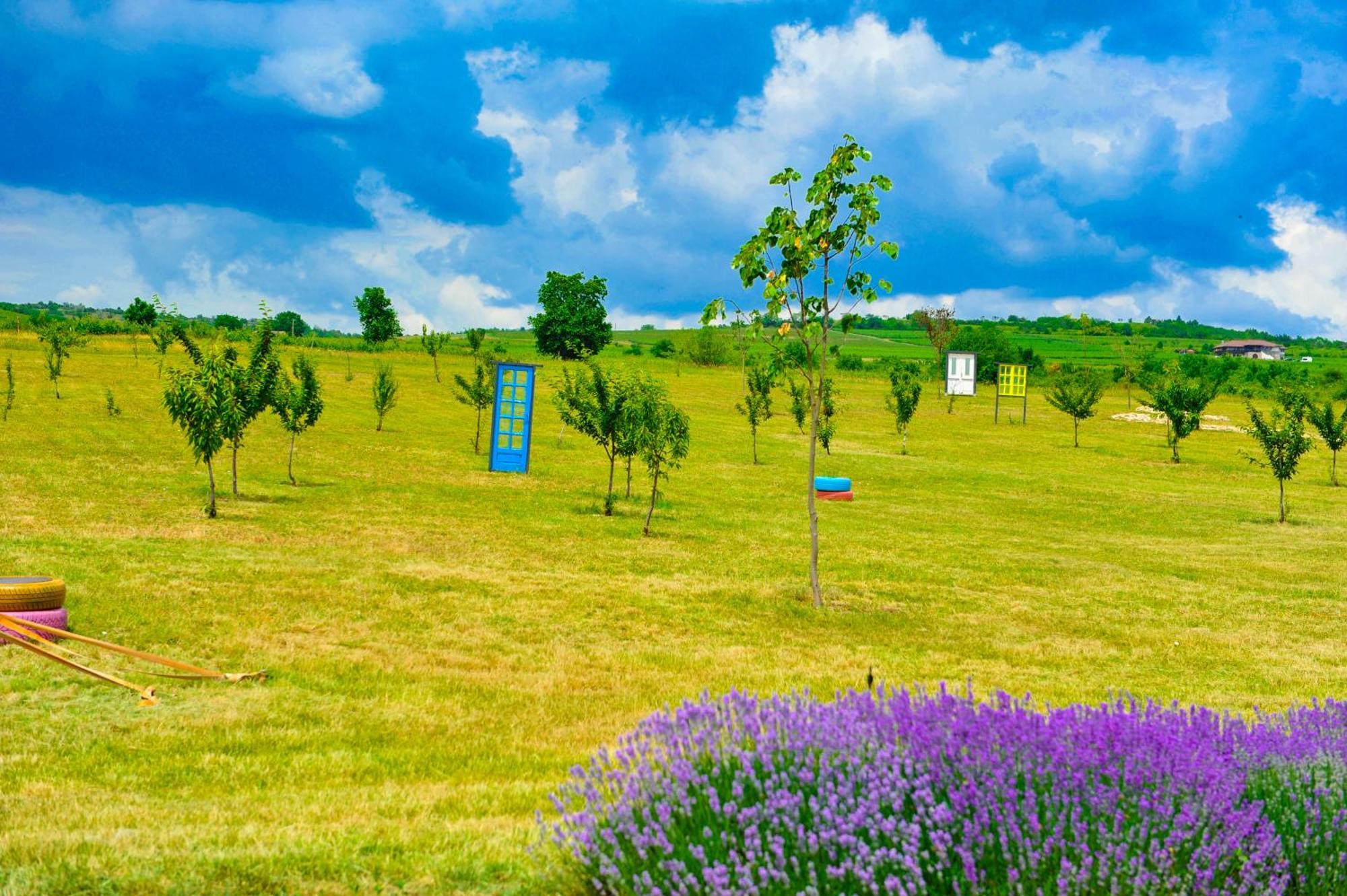 Vinalia - Conacul Din Ceptura Hotel Ceptura de Jos Buitenkant foto